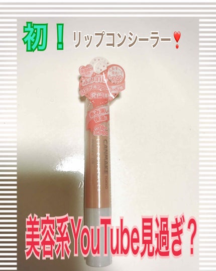 リップコンシーラー モイスト イン/キャンメイク/スティックコンシーラーを使ったクチコミ(1枚目)