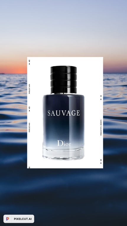 ソヴァージュ オードゥ トワレ/Dior/香水(メンズ)を使ったクチコミ(1枚目)