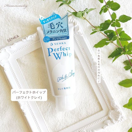 パーフェクトホワイトクレイ/SENKA(専科)/洗顔フォームを使ったクチコミ(1枚目)