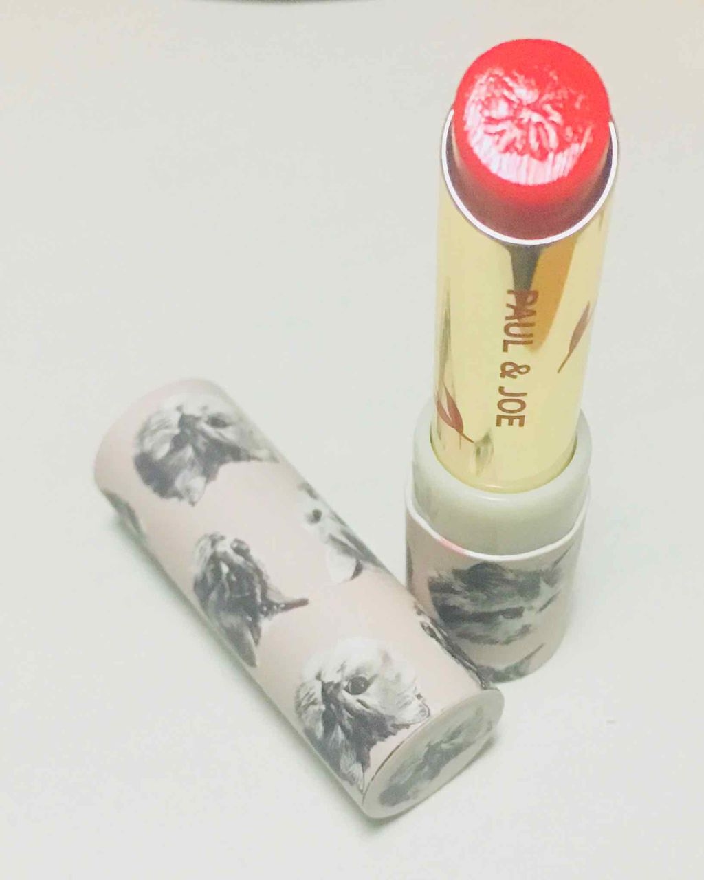 リップスティック/PAUL & JOE BEAUTE/口紅を使ったクチコミ（1枚目）