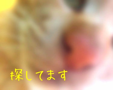 めぃぷるしゅがー on LIPS 「こんにちは！めぃぷるしゅがーです🐝⋆゜黄色と青色のアイシャドウ..」（1枚目）