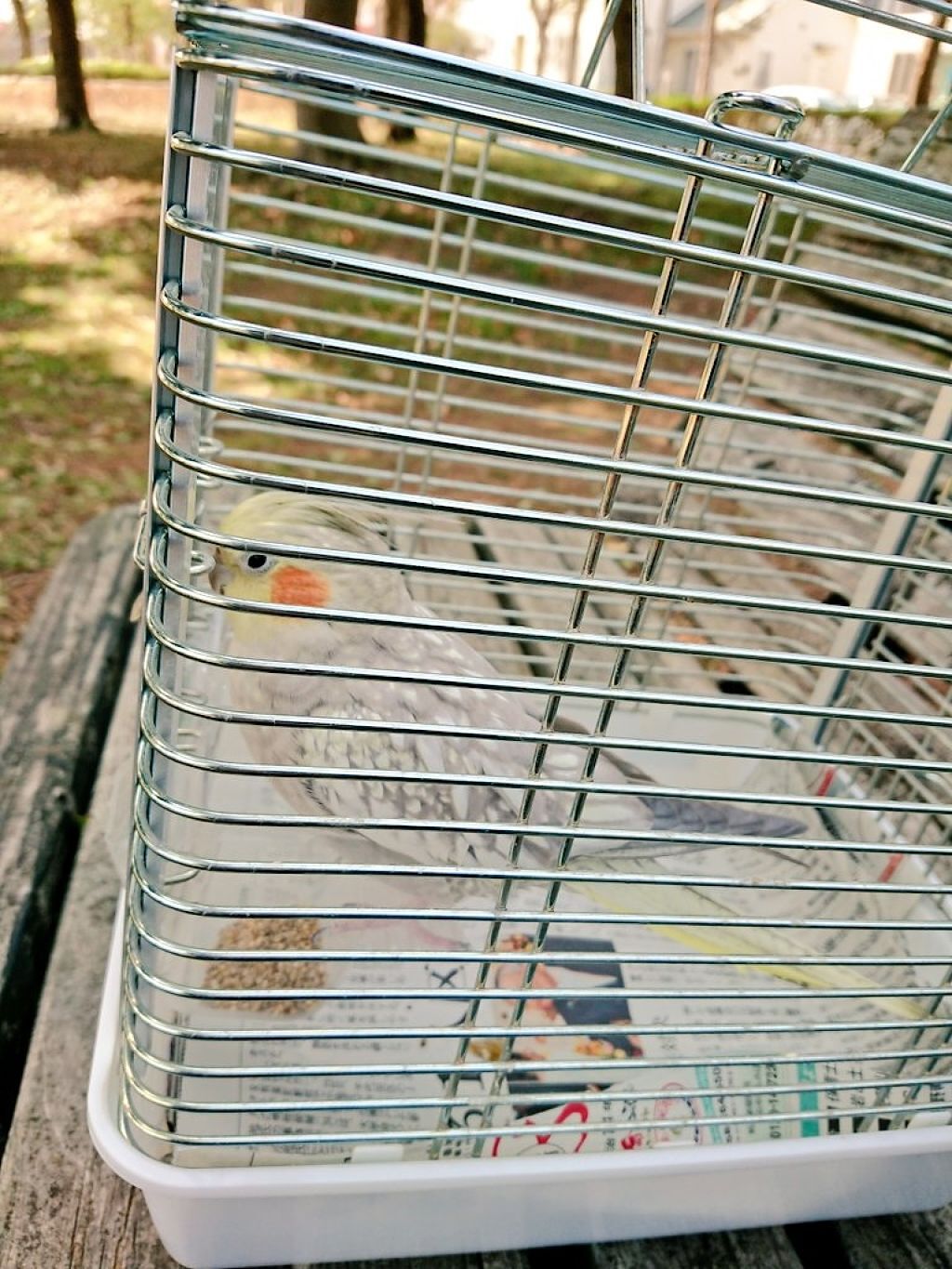 ミネラルピグメント/ONLY MINERALS/単色アイシャドウを使ったクチコミ（2枚目）