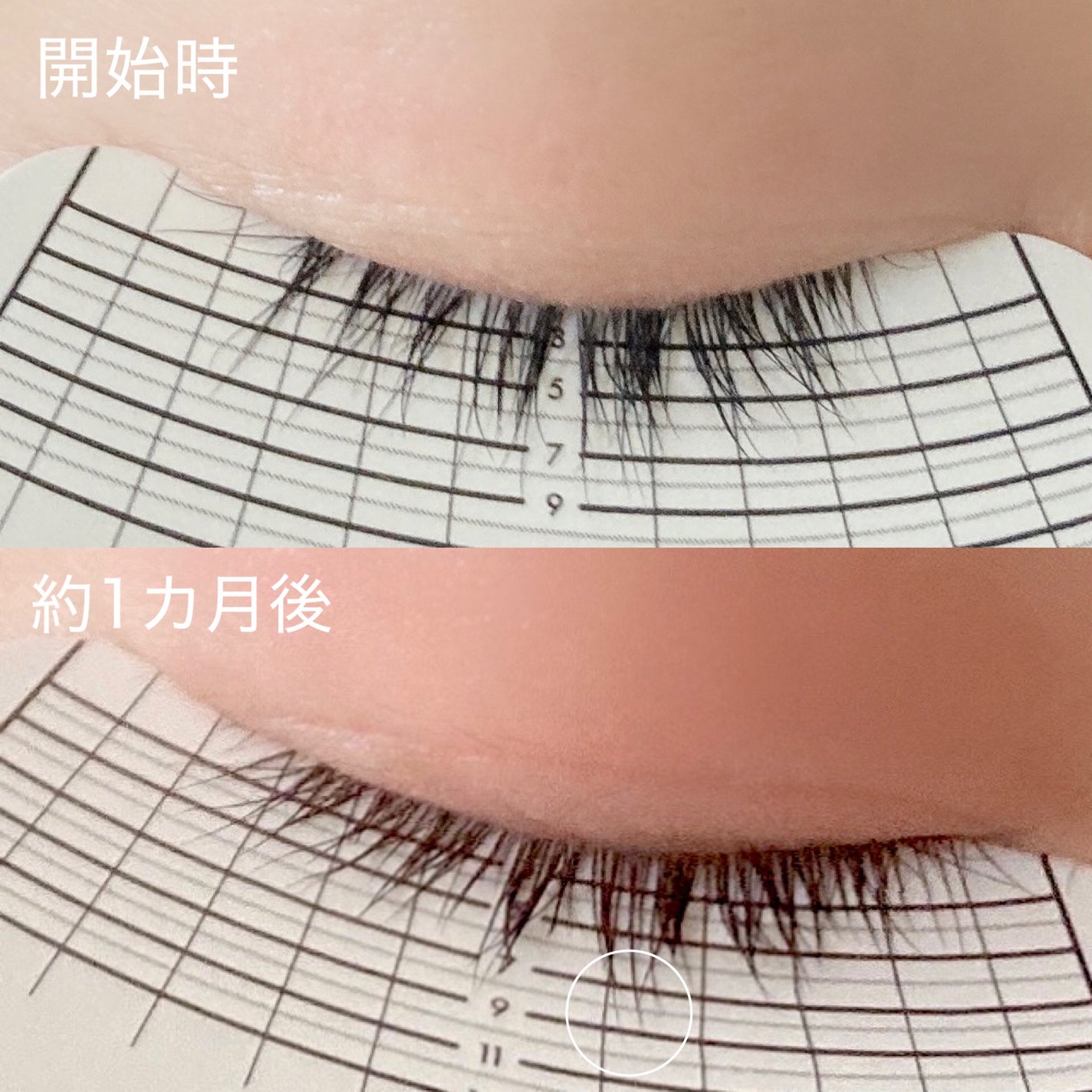 ラッシュリッチアイラッシュセラム/ロート製薬/まつげ美容液を使ったクチコミ(5枚目)