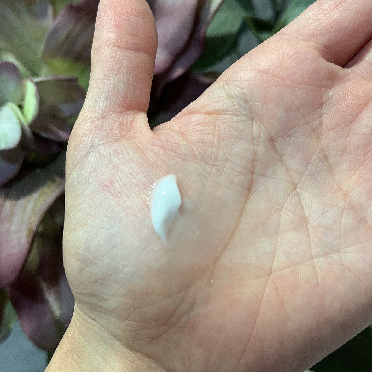 ペプチドハイドレーティングクリーム/favs/フェイスクリームを使ったクチコミ(4枚目)