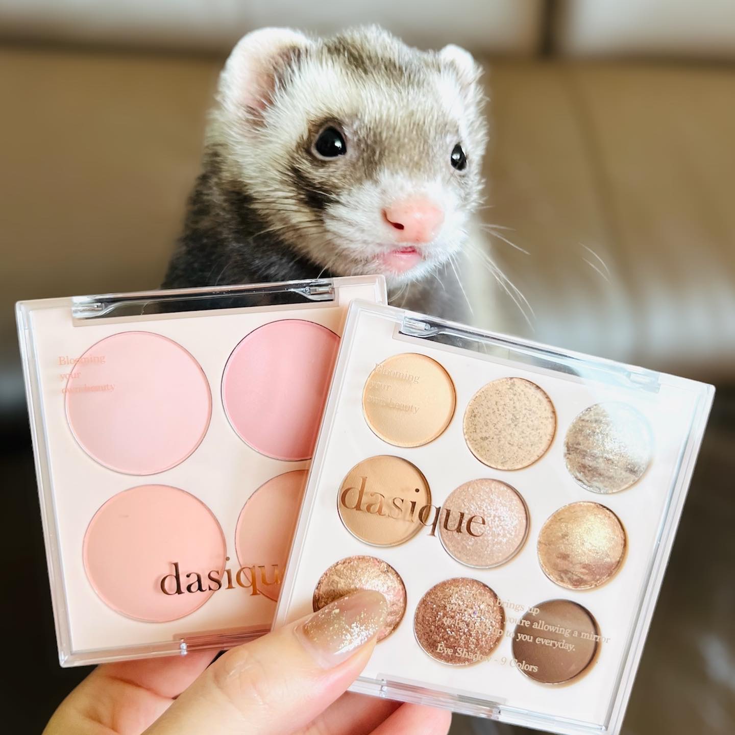 シャドウパレット/dasique/アイシャドウパレットを使ったクチコミ（2枚目）