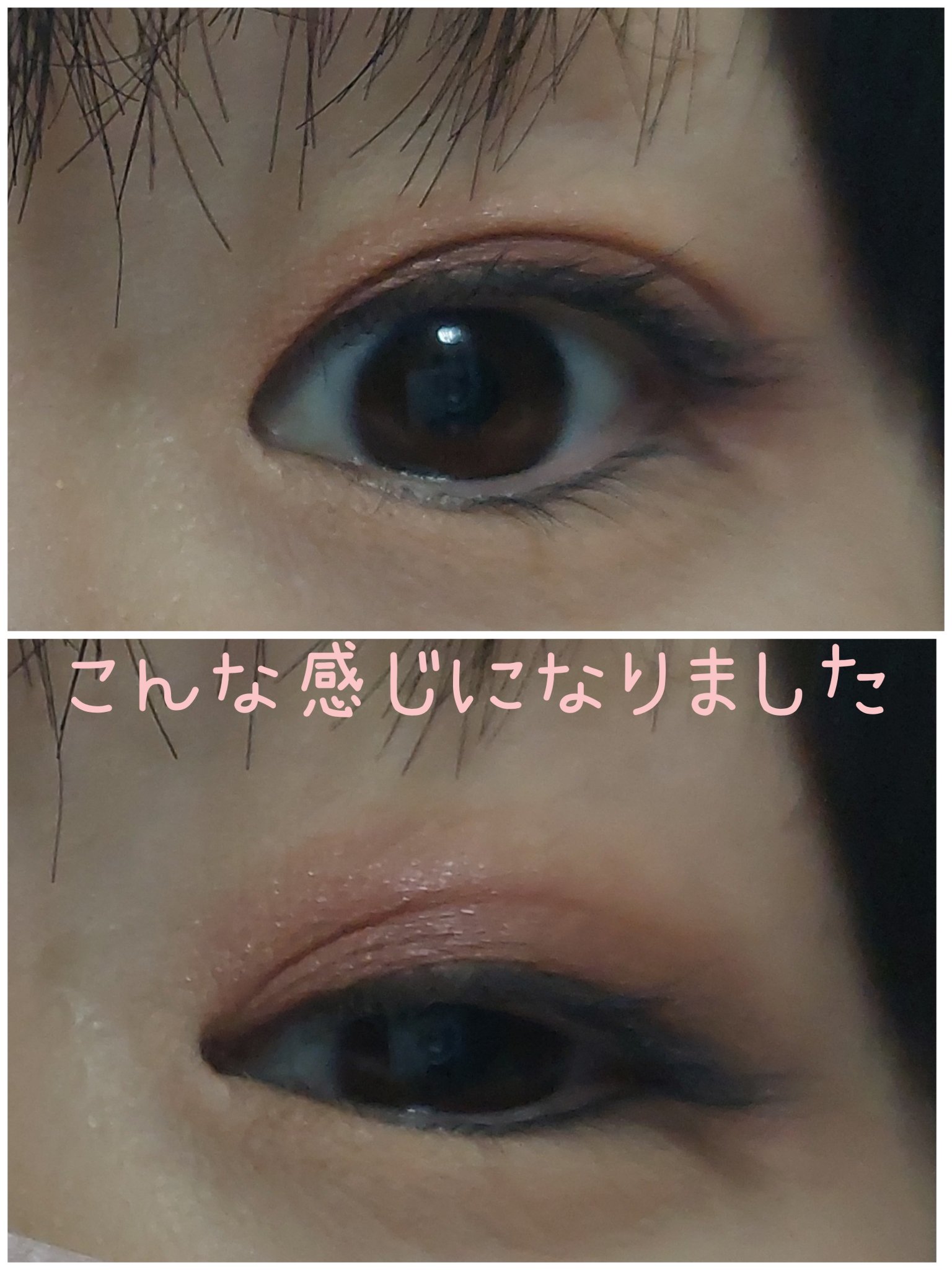 ディオール バックステージ アイ パレット 004 ローズウッド/Dior/アイシャドウパレットを使ったクチコミ（2枚目）