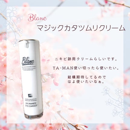 fillimilli アイメイクブラシセット/fillimilli/メイクブラシを使ったクチコミ(5枚目)