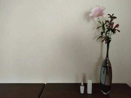 mcgroupakiko on LIPS 「朝晩洗顔をして、化粧水と美容液を塗って・・・毎日欠かさずにスキ..」(4枚目)