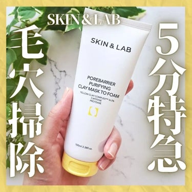 ポアバリアピューリファイングクレイマスクトゥフォーム/SKIN&LAB/洗い流すパック・マスクを使ったクチコミ（1枚目）