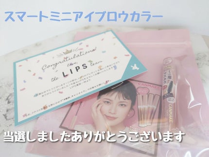 スマートミニアイブロウカラー/キャンメイク/眉マスカラを使ったクチコミ(1枚目)