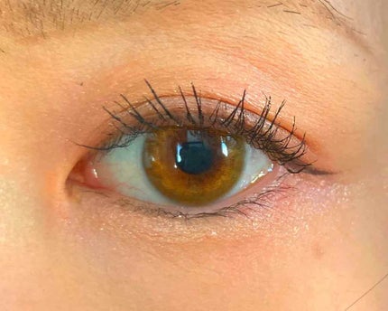 フリーファイバー120 スタンダードタイプ /メザイク/二重まぶた用アイテムを使ったクチコミ(4枚目)