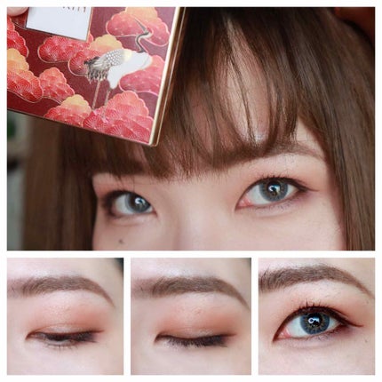 長相思シリーズ 9色アイシャドウパレット/CATKIN/アイシャドウパレットを使ったクチコミ(2枚目)