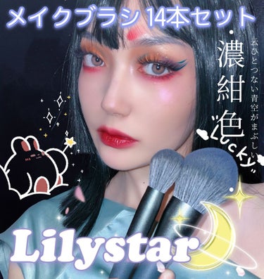 lilystar メイクブラシ 14本セット/Lily star/メイクブラシを使ったクチコミ（1枚目）