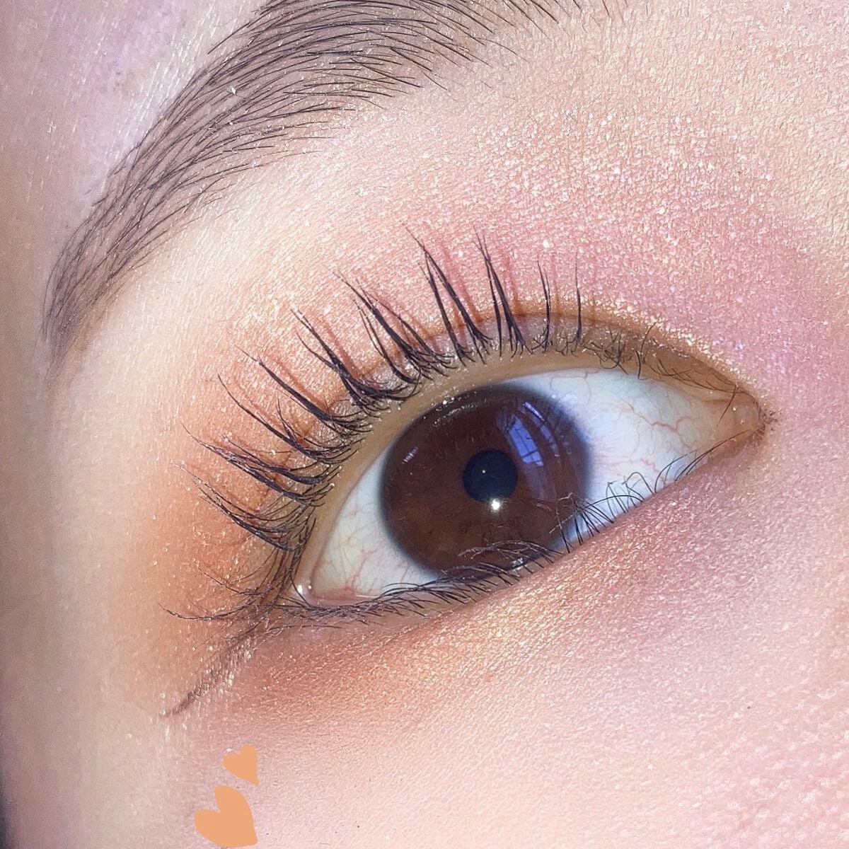 ショコラスウィート アイズ/リンメル ロンドン/アイシャドウパレットを使ったクチコミ(3枚目)