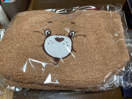 ノンノン on LIPS 「9月21日 今日の投稿になります✨9月のQoo10メガ割の購入..」(7枚目)