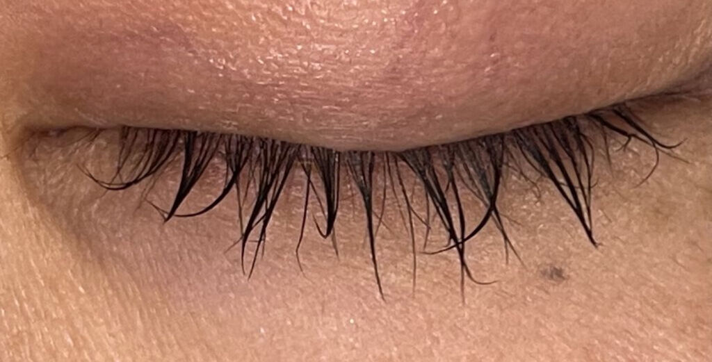 エグータム/アルマダスタイル/まつげ美容液を使ったクチコミ（3枚目）
