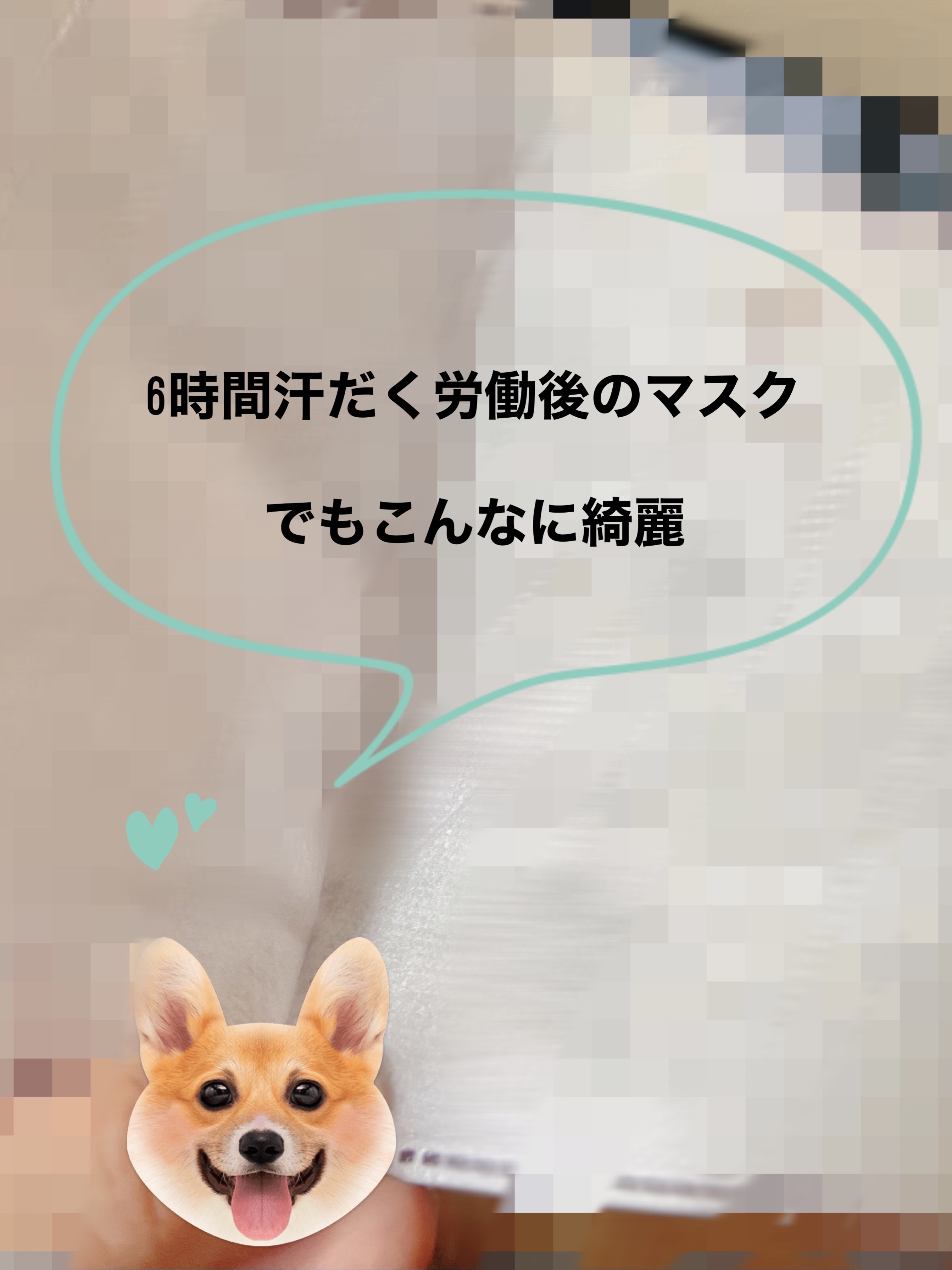 ヌードマットブラッシャー/CathyDoll/パウダーチークを使ったクチコミ（1枚目）