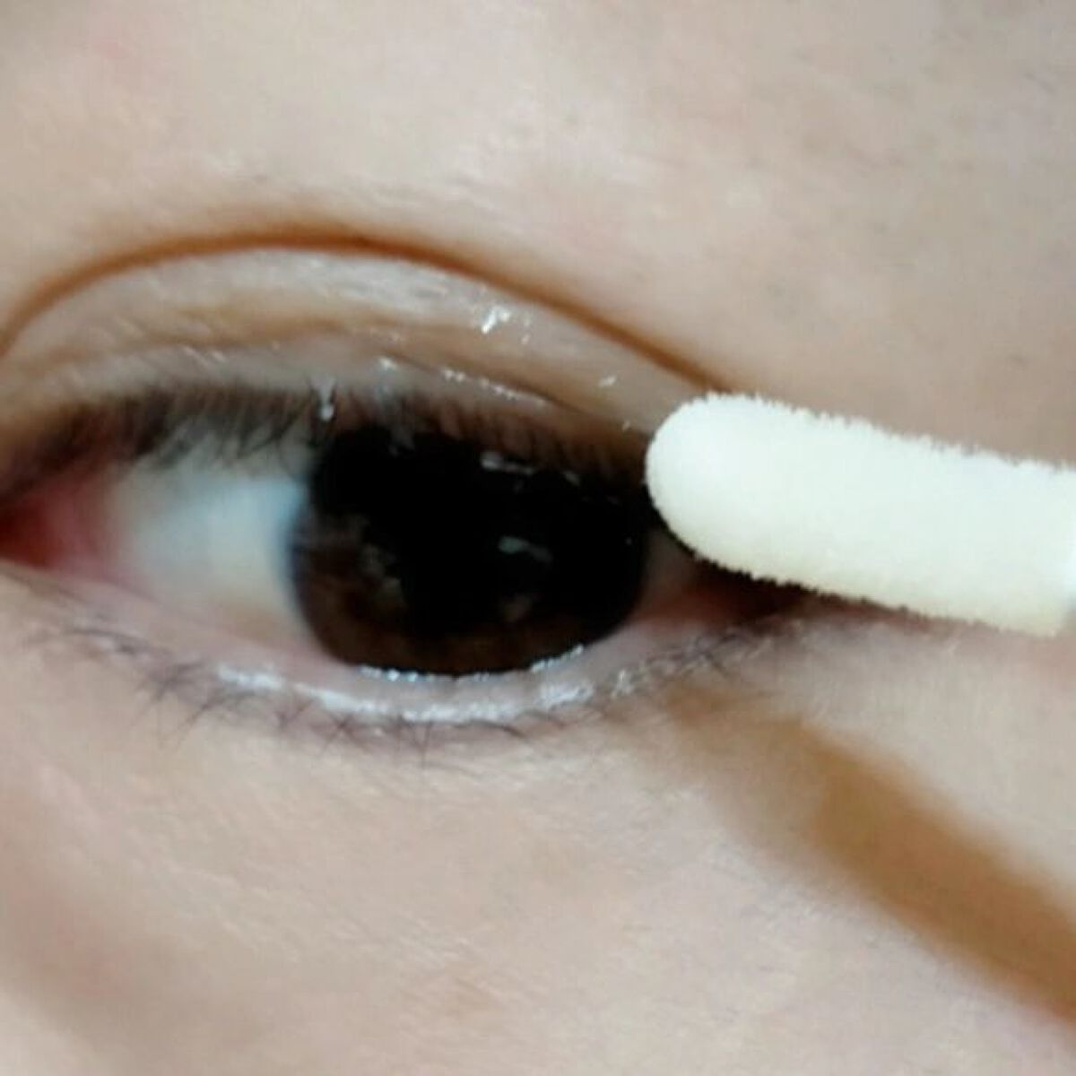 SCラッシュセラム /ACTIVART/まつげ美容液を使ったクチコミ（3枚目）