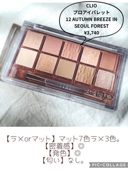 プロ アイ パレット/CLIO/アイシャドウパレットを使ったクチコミ(5枚目)