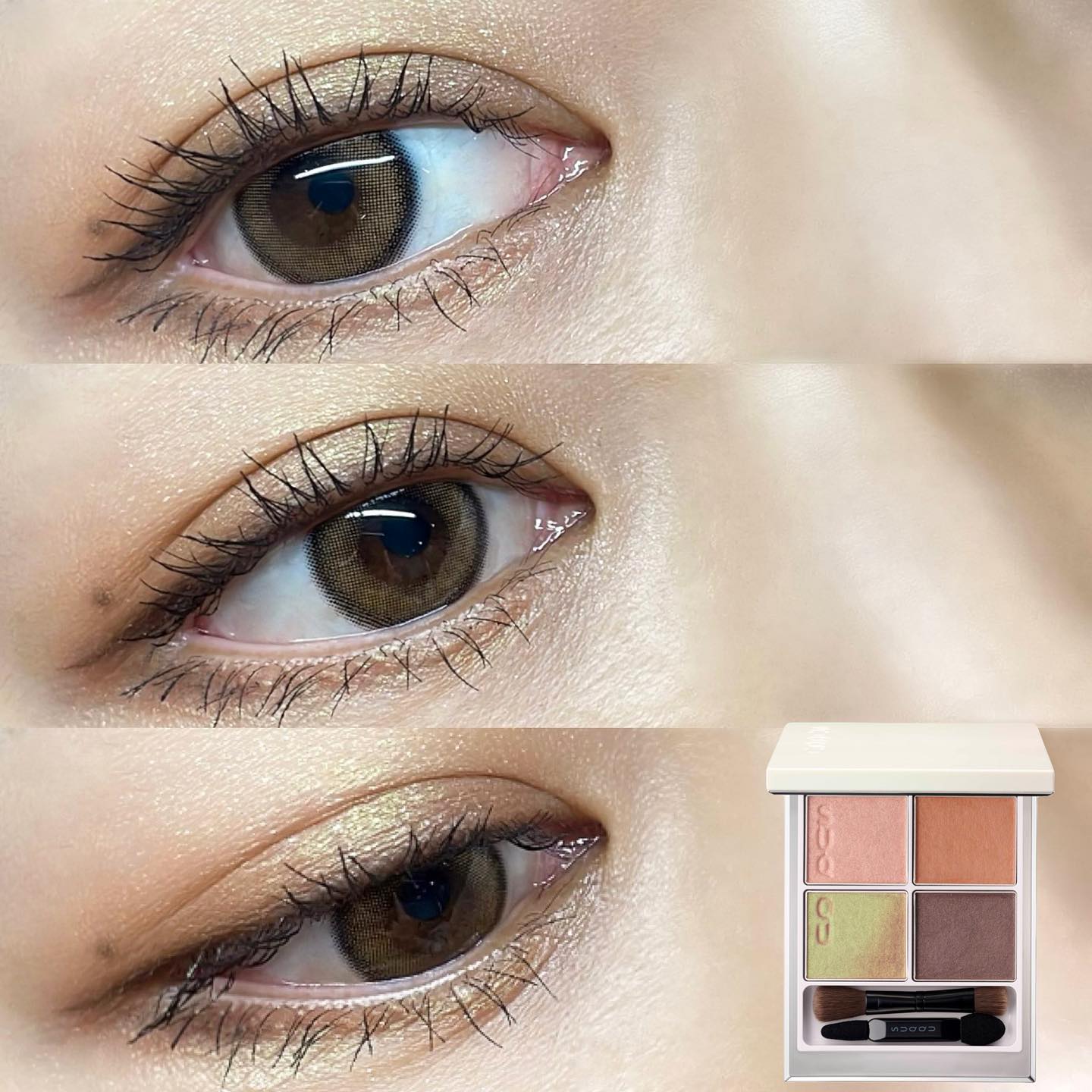 シグニチャー カラー アイズ/SUQQU/アイシャドウパレットを使ったクチコミ（1枚目）