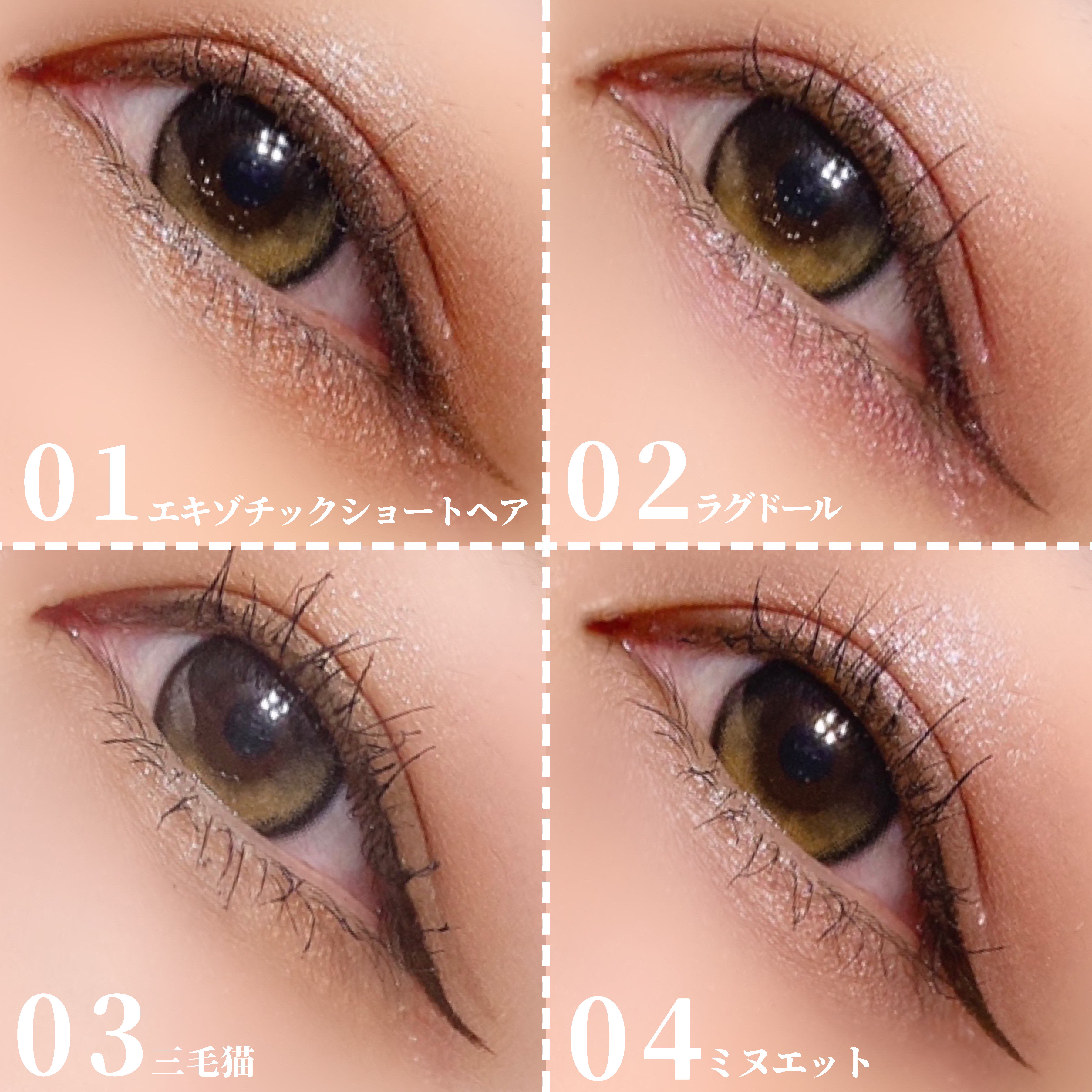 マイキティアイパレット 03 三毛猫/MilleFée/アイシャドウパレットを使ったクチコミ（3枚目）