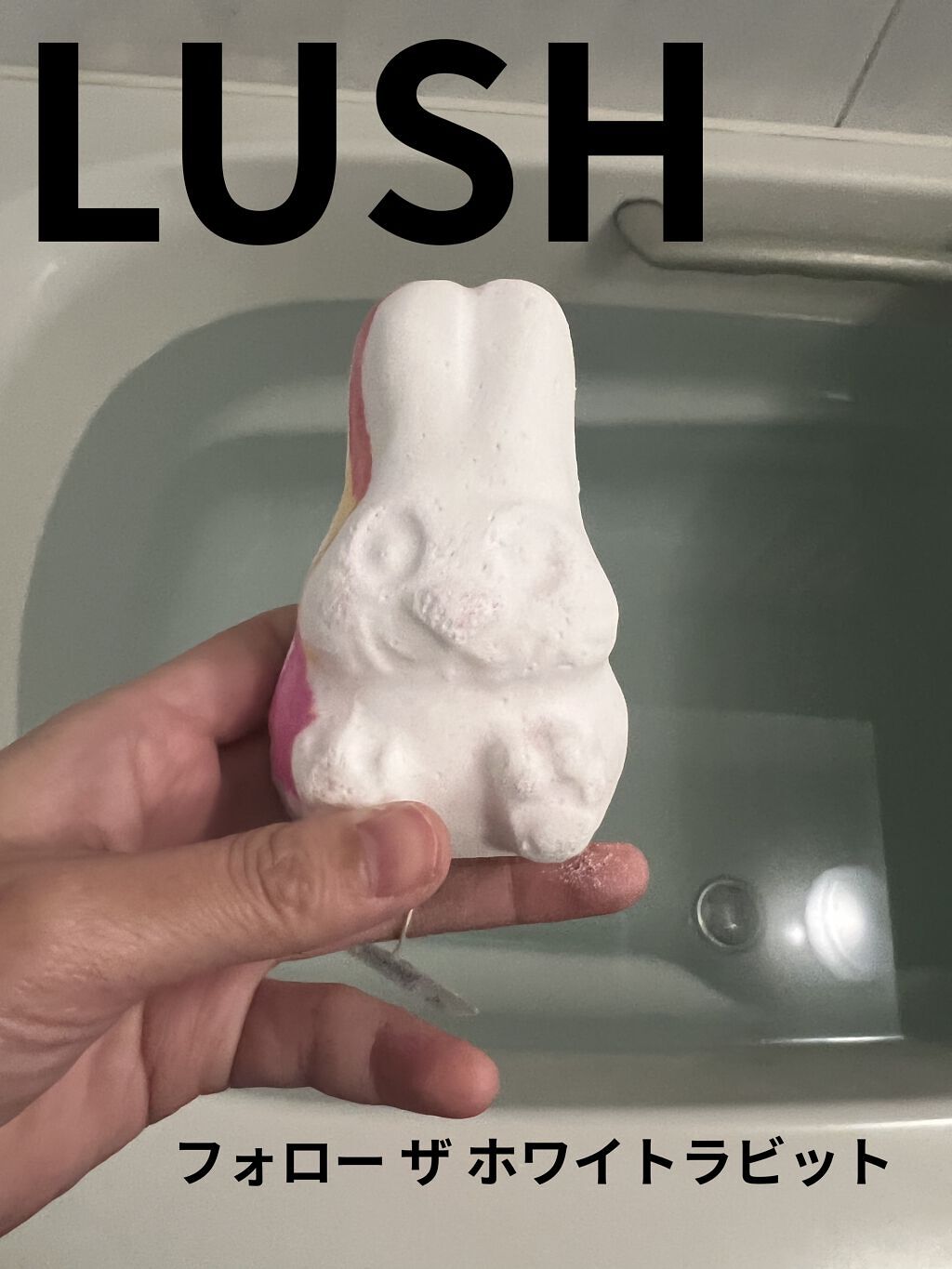 フォロー ザ ホワイトラビット（バスボム）/ラッシュ/炭酸系入浴剤を使ったクチコミ（1枚目）