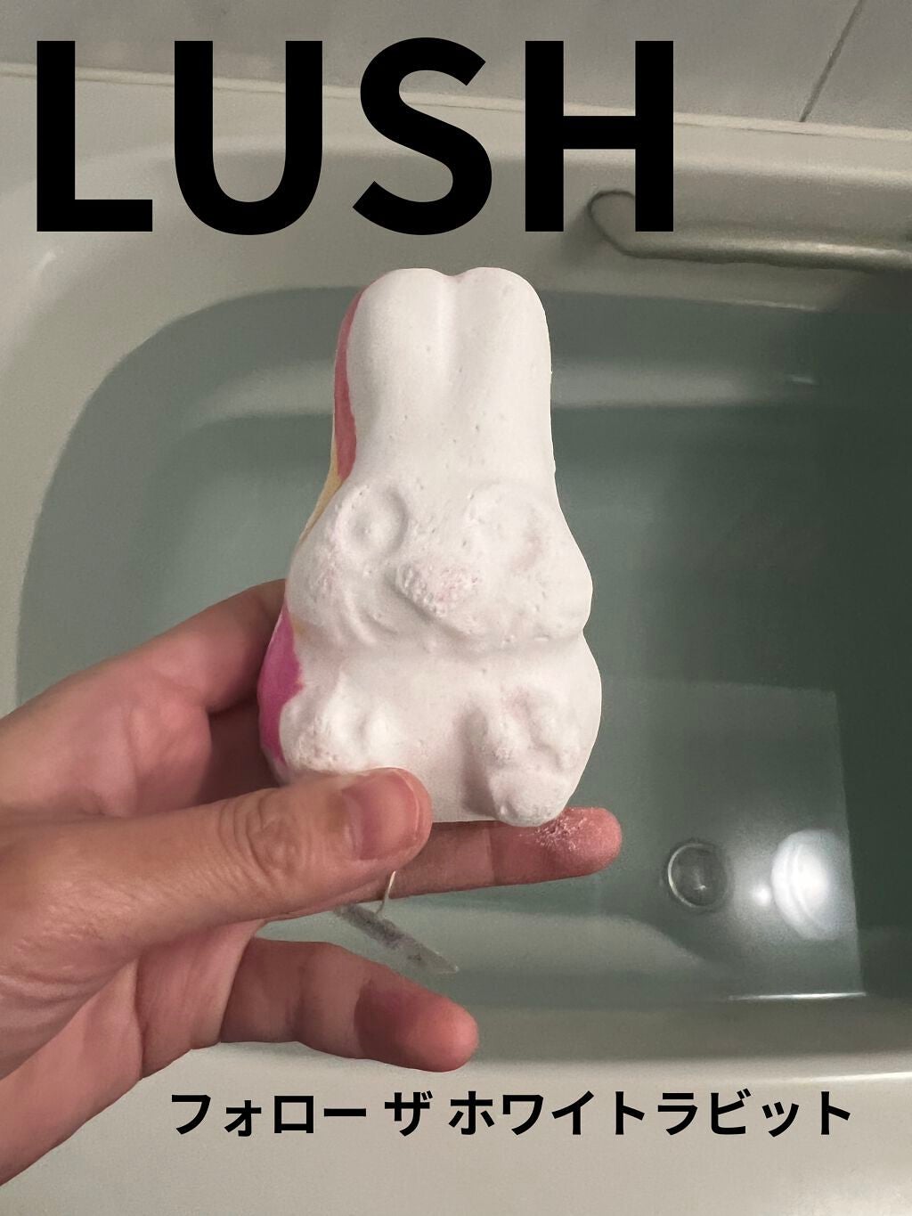 フォロー ザ ホワイトラビット(バスボム)/ラッシュ/炭酸系入浴剤を使ったクチコミ(1枚目)