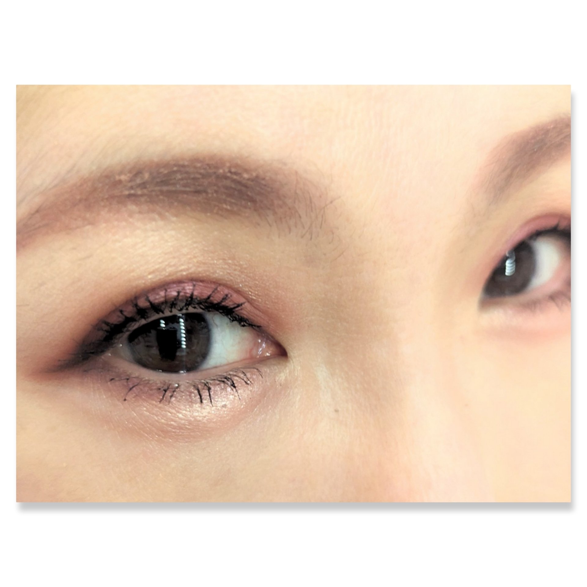 ディオール バックステージ アイ パレット 004 ローズウッド/Dior/アイシャドウパレットを使ったクチコミ（2枚目）