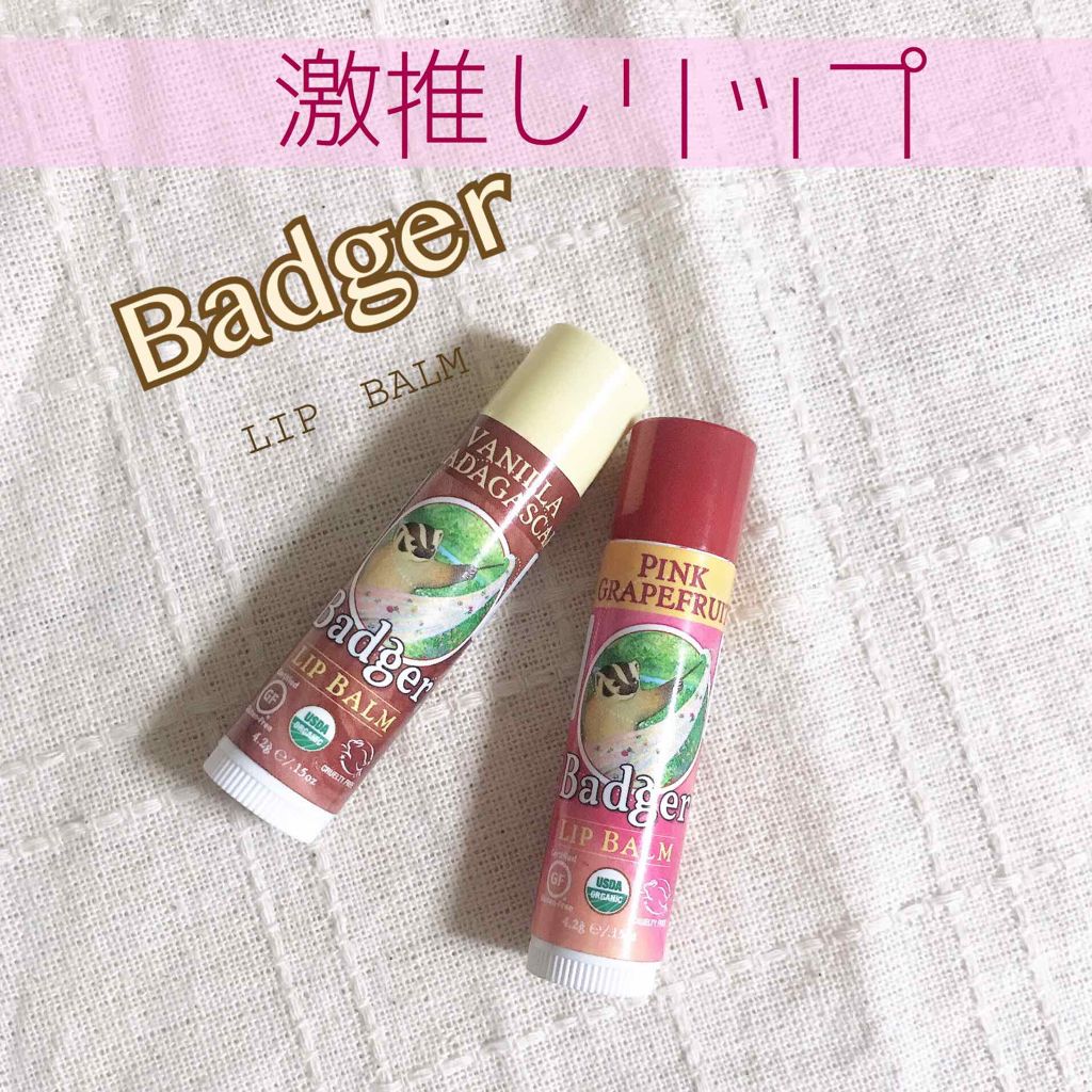 クラシックリップバームスティック(ハイランドミント)/Badger(バジャー)/リップケアを使ったクチコミ（1枚目）