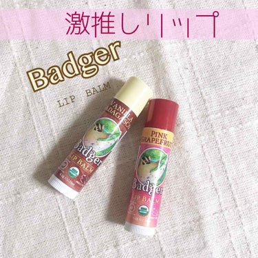 クラシックリップバームスティック(ハイランドミント)/Badger(バジャー)/リップケア・リップクリームを使ったクチコミ（1枚目）