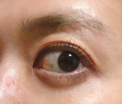 パーフェクトエクステンション マスカラ for カール/D-UP/マスカラを使ったクチコミ(2枚目)