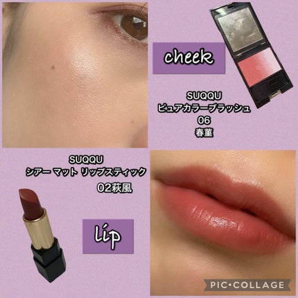 ピュア カラー ブラッシュ/SUQQU/パウダーチークを使ったクチコミ(8枚目)