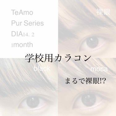 TeAmo PUR シリーズ 

pur black
pur moca
 
DIA14.2
1month

三白眼で、裸眼が小さく目付きが悪いのが嫌でどうしても裸眼で学校に行きたくなくて、苦肉の策で見つ