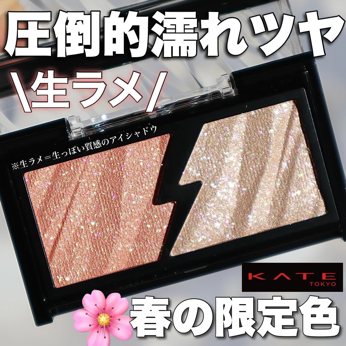 エレクトリックショックアイズ /KATE/アイシャドウパレットを使ったクチコミ（1枚目）