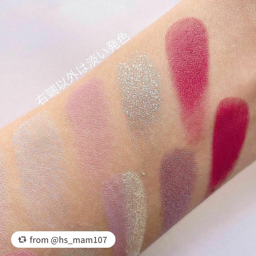 エクスプローラ12色 動物アイシャドウパレット/PERFECT DIARY/アイシャドウパレットを使ったクチコミ(4枚目)