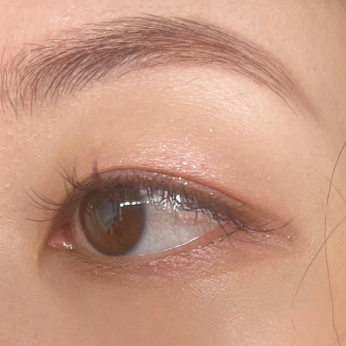 フェイスカラーパレット/チャコット・コスメティクス/アイシャドウパレットを使ったクチコミ(5枚目)