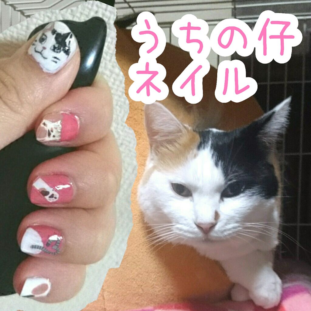 ネイルシール キャンドゥを使った口コミ 可愛い猫ちゃん のネイルシールを見つけたの By ゆかい フォロバ 乾燥肌 代前半 Lips