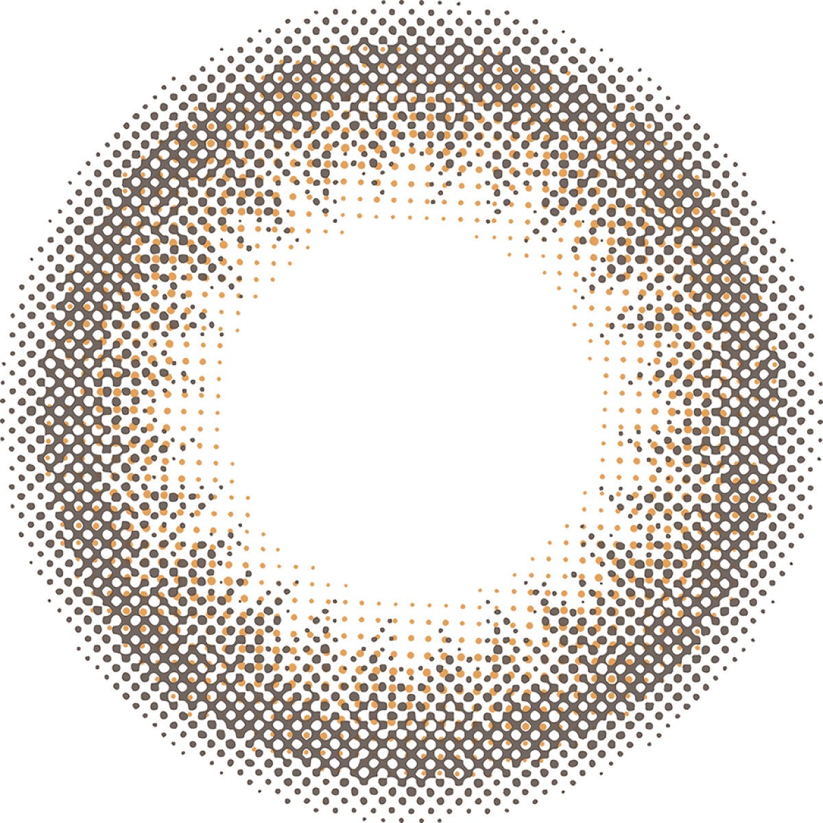 TOPARDS 1day オパール