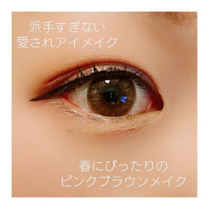 スキニーリッチシャドウ/excel/アイシャドウパレットを使ったクチコミ(3枚目)