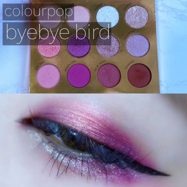 BYE BYE BIRDIE/ColourPop/アイシャドウパレットを使ったクチコミ（1枚目）