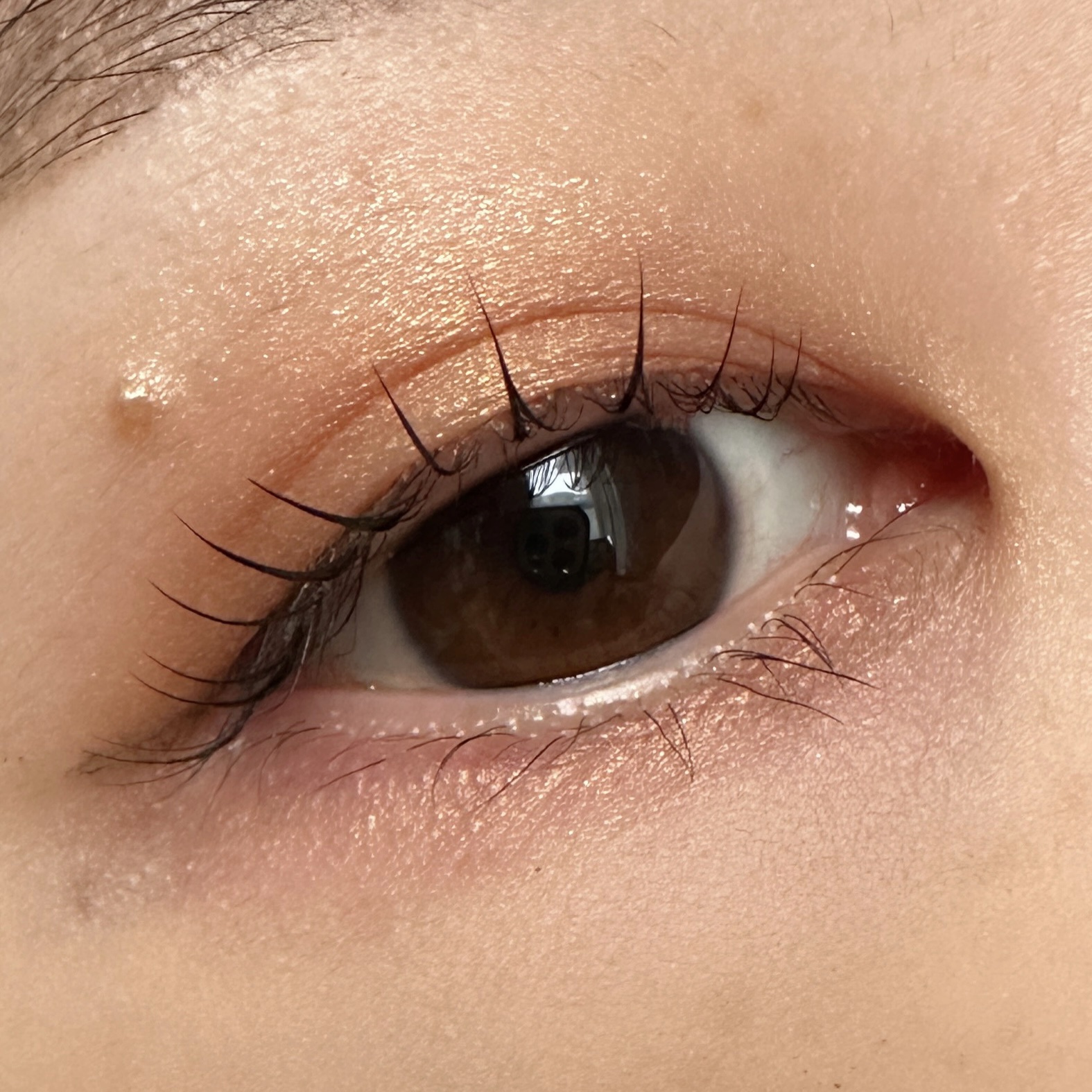 【旧】サンク クルール クチュール/Dior/アイシャドウパレットを使ったクチコミ（2枚目）