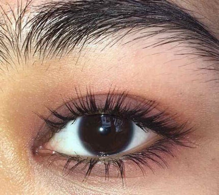 Give It To Me Straight/ColourPop/アイシャドウパレットを使ったクチコミ(2枚目)