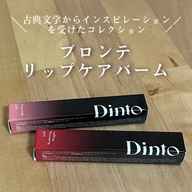 Melting-Glow Lip Balm/Dinto/リップケア・リップクリームを使ったクチコミ（1枚目）