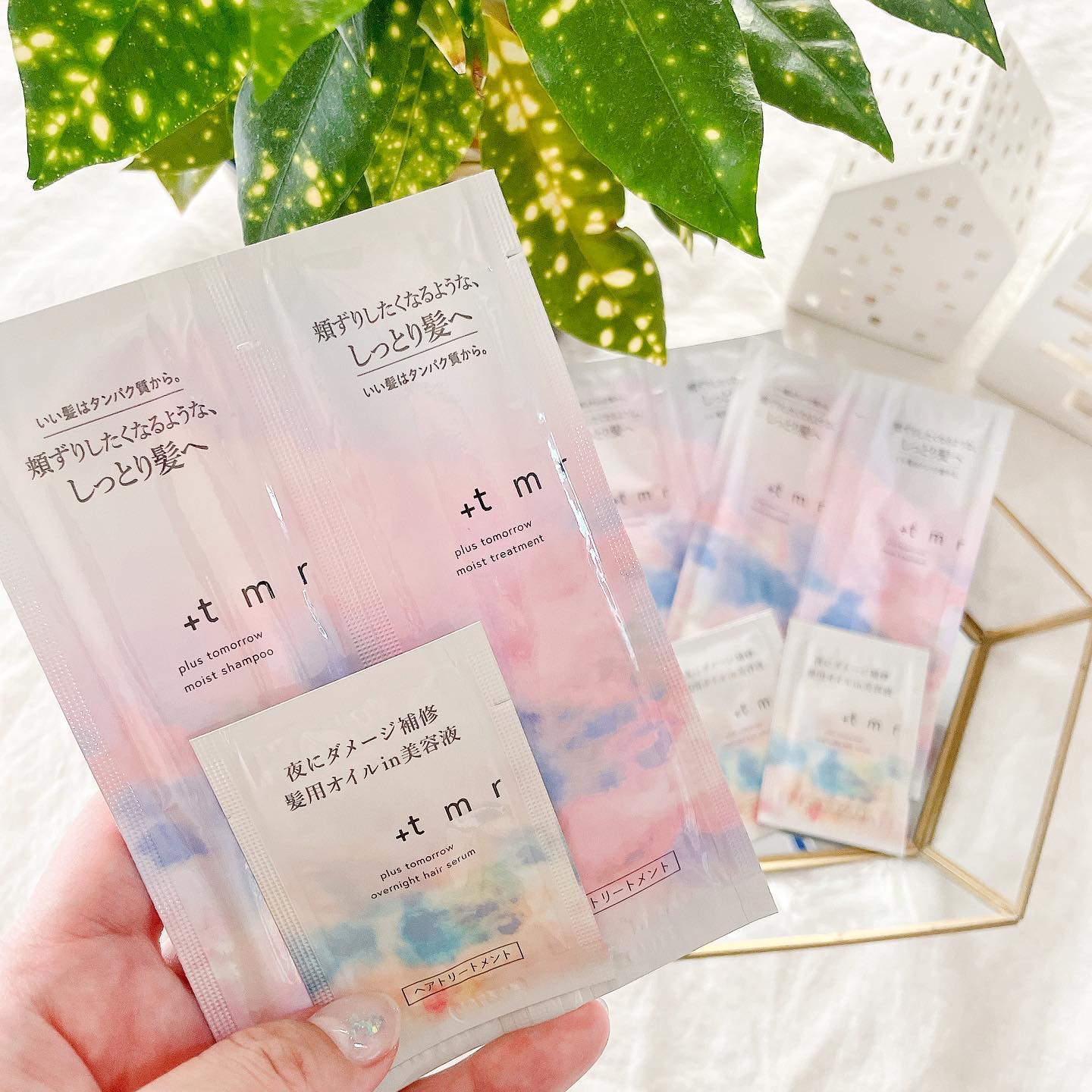 モイスト シャンプー/トリートメント/＋ｔｍｒ/市販シャンプーを使ったクチコミ（1枚目）