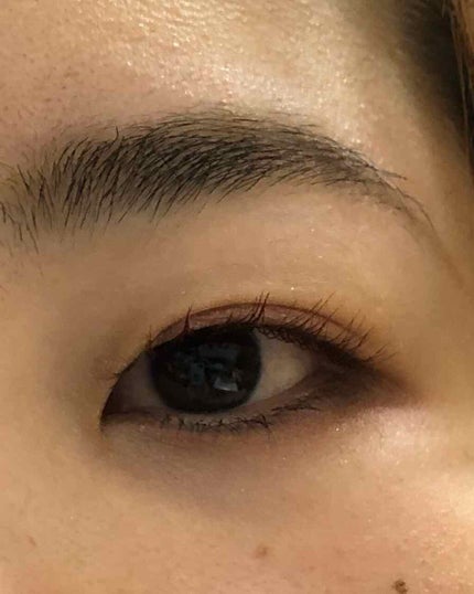 スキニーリッチシャドウ/excel/アイシャドウパレットを使ったクチコミ(1枚目)