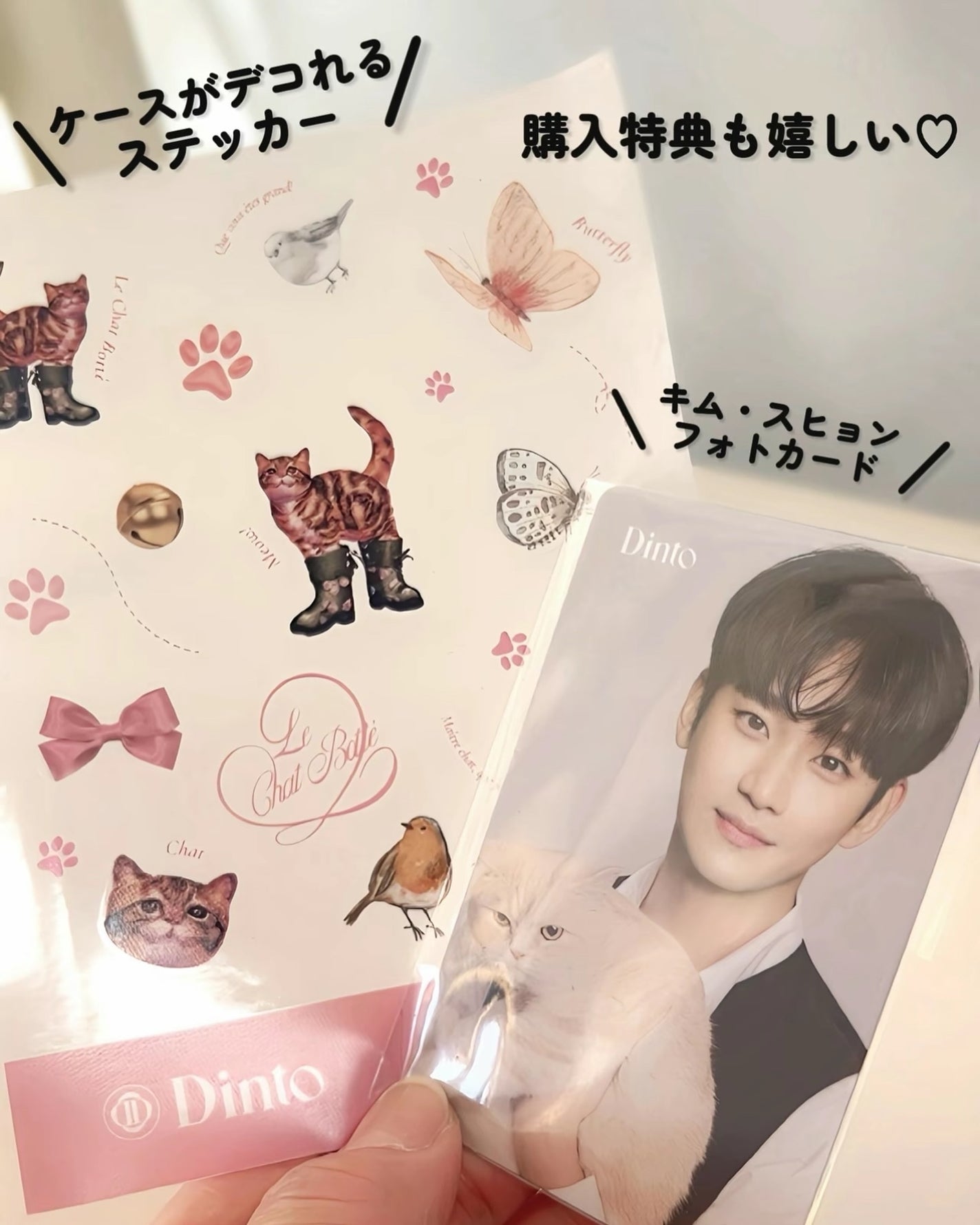 (ルシャブートコレクション)チーク&アイ マルチユーズ パレット/Dinto/パウダーチークを使ったクチコミ(6枚目)