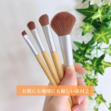 NATURE FRIENDLY アイシャドウブラシセット/チャスティ/メイクブラシを使ったクチコミ(4枚目)
