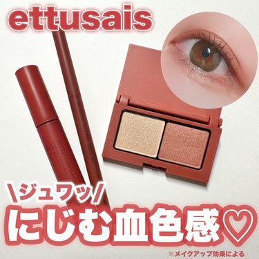 アイエディション(カラーパレット)/ettusais/アイシャドウパレットを使ったクチコミ（1枚目）