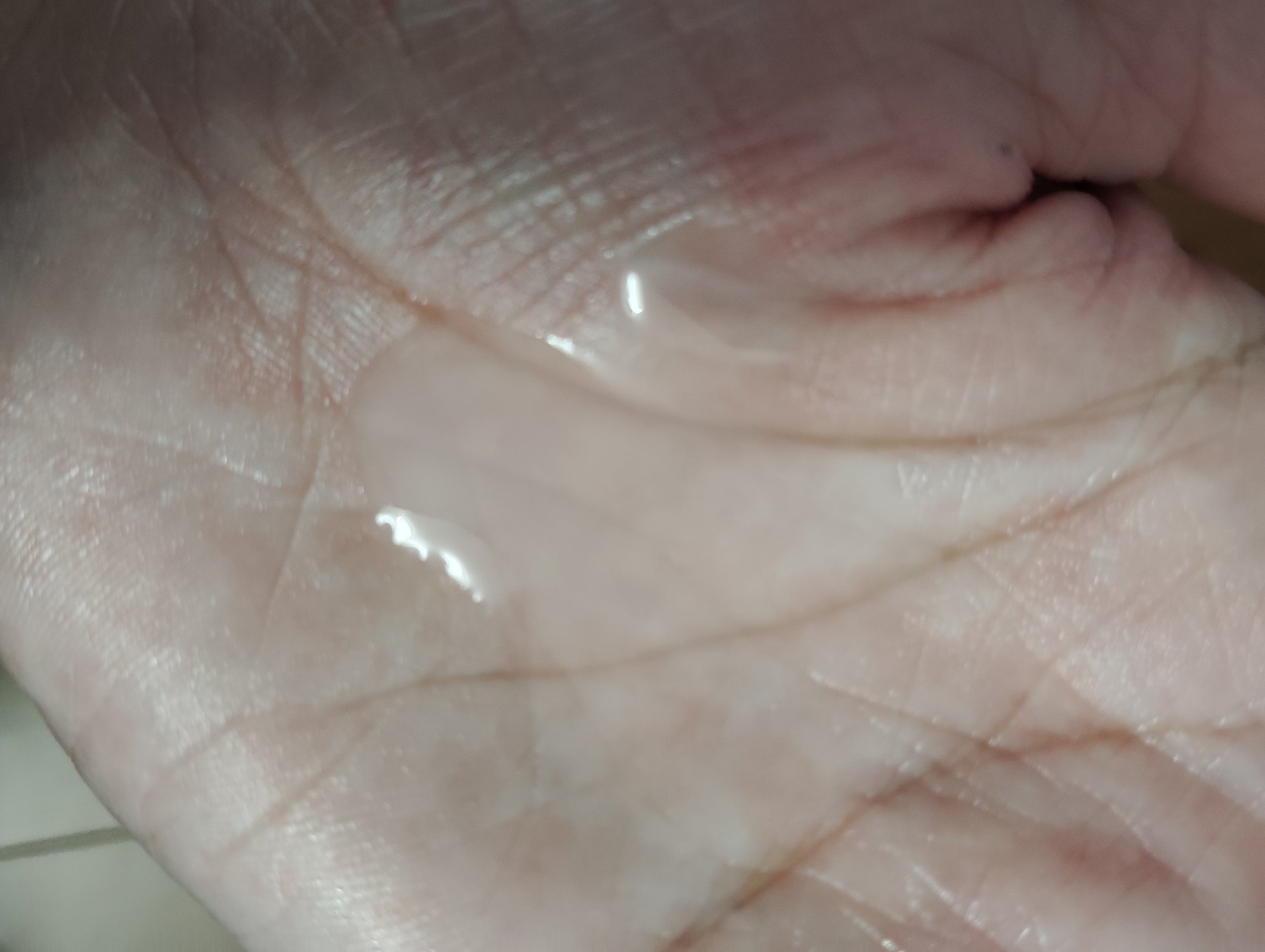 プロバイオダーム リペアスキンエマルジョン/BIOHEAL BOH/乳液を使ったクチコミ（2枚目）