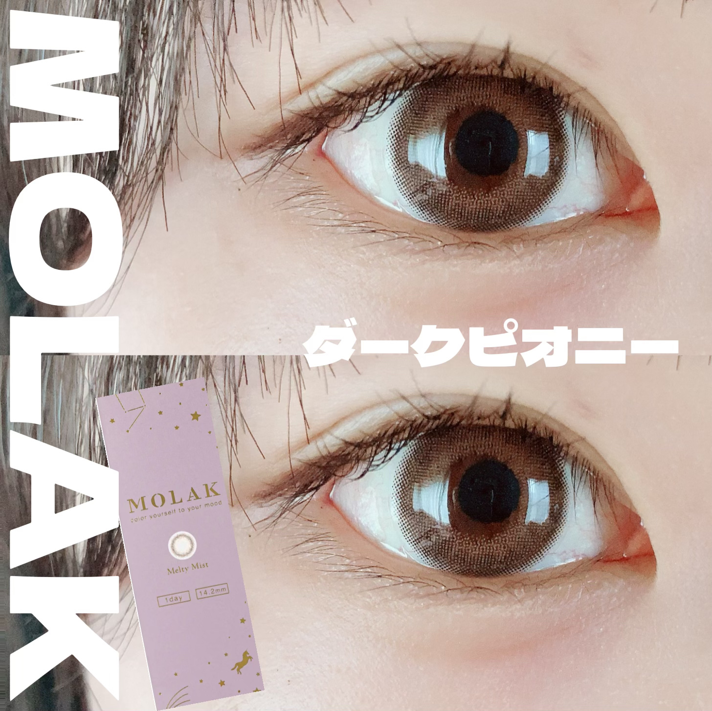 MOLAK 1day ダークピオニー/MOLAK/ワンデー（１DAY）カラコンを使ったクチコミ（1枚目）